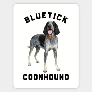 BLUETICK COONHOUND Sticker